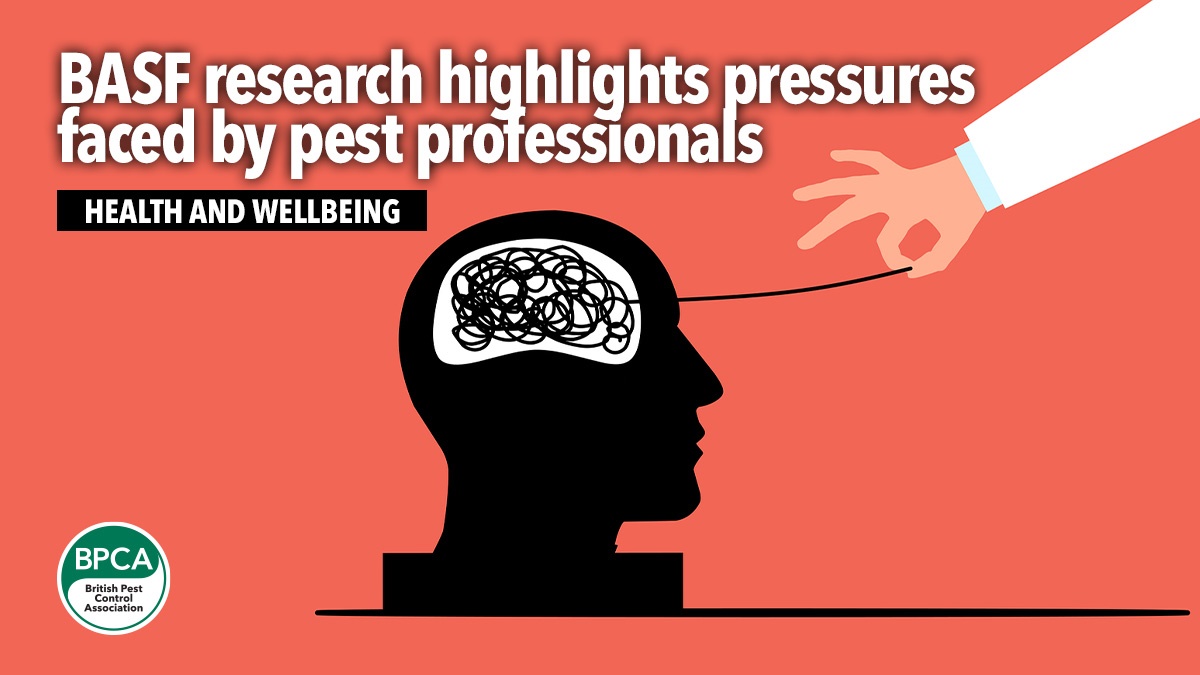 basf-mental-health-survey-icon-2026